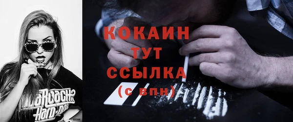 первитин Богородицк