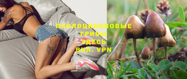 первитин Богородицк