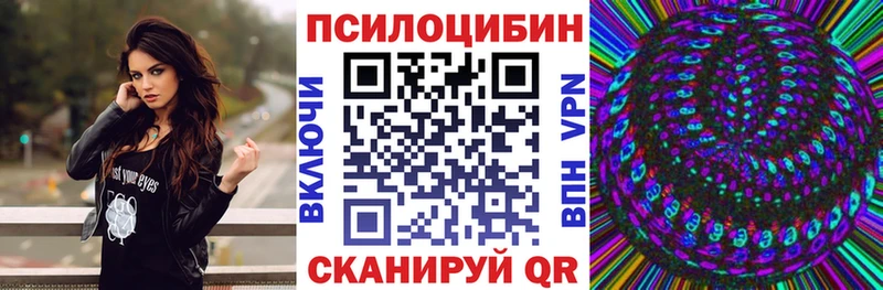 Псилоцибиновые грибы Cubensis omg tor Кемь